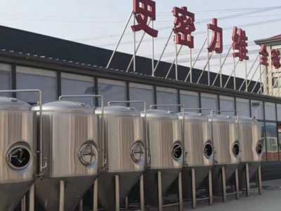孙吴精酿啤酒设备厂—如何判断精酿啤酒设备的密封件需要更换？